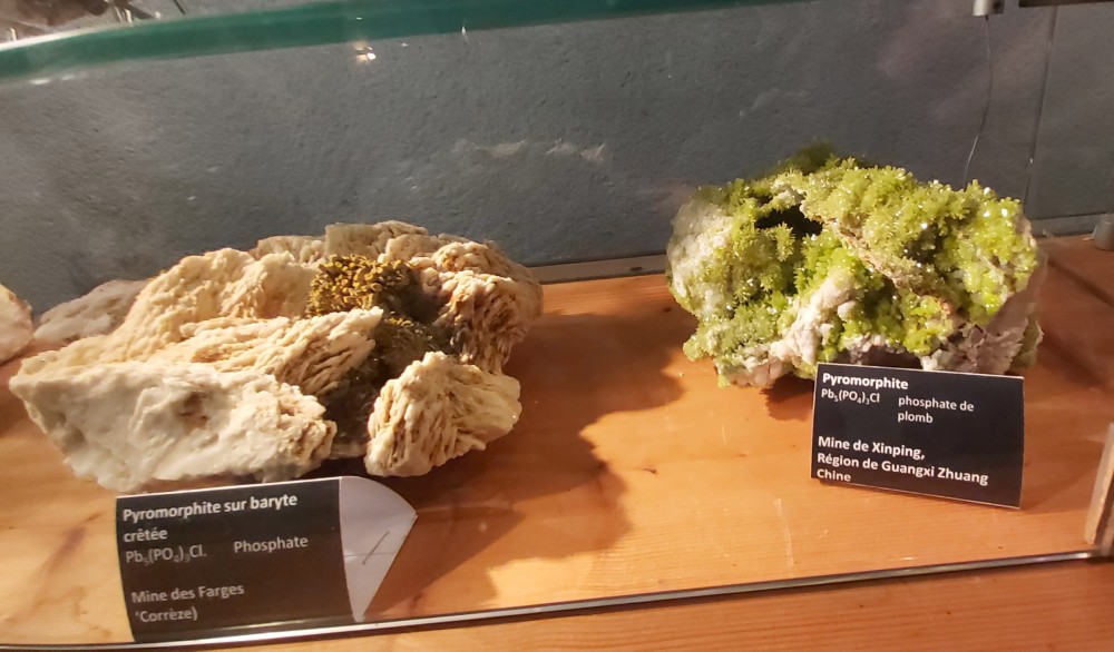 20230708_101525 recadre.jpg