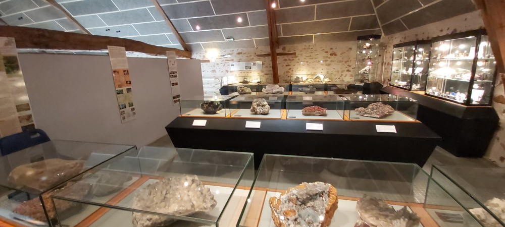 20230708_101854 6.jpg