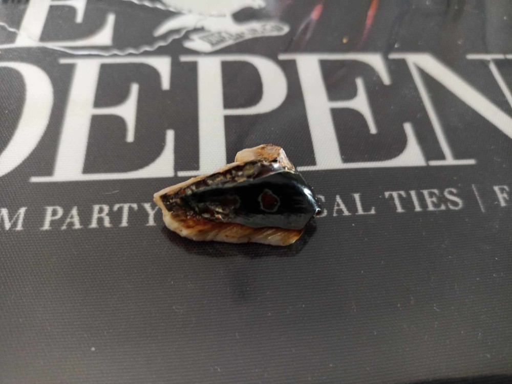 A déterminer (2).jpg