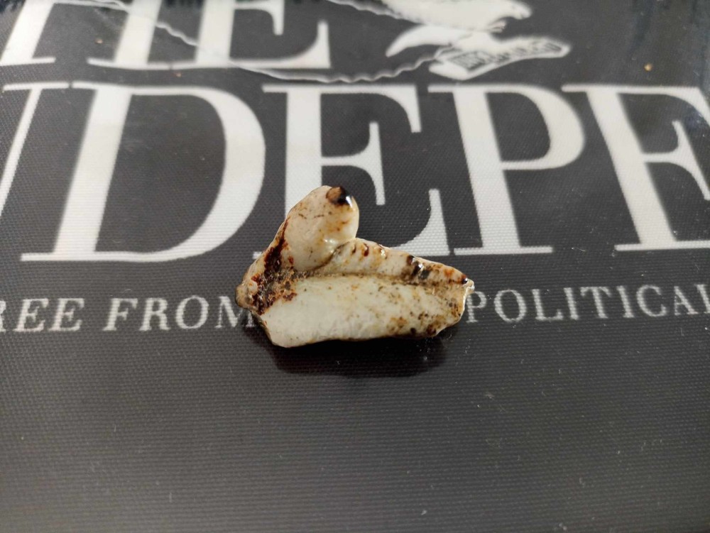 A déterminer (3).jpg