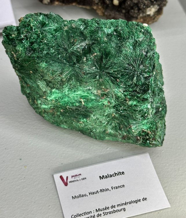 Capture d’écran 2023-07-08 à 00.18.44.png