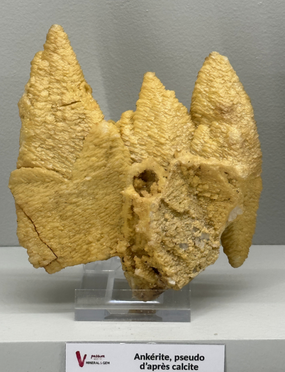 Capture d’écran 2023-07-08 à 00.20.14.png