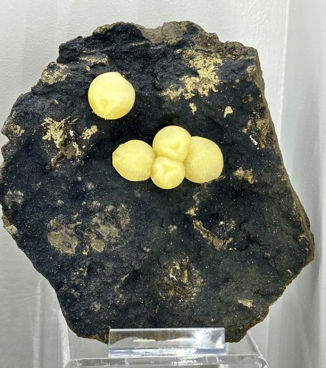 Capture d’écran 2023-07-09 à 19.12.48.png