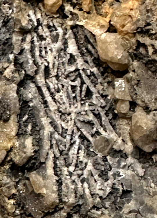 Capture d’écran 2023-07-17 à 00.03.34.png