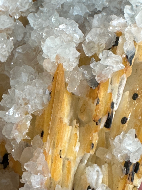 Capture d’écran 2023-07-27 à 00.15.06.png