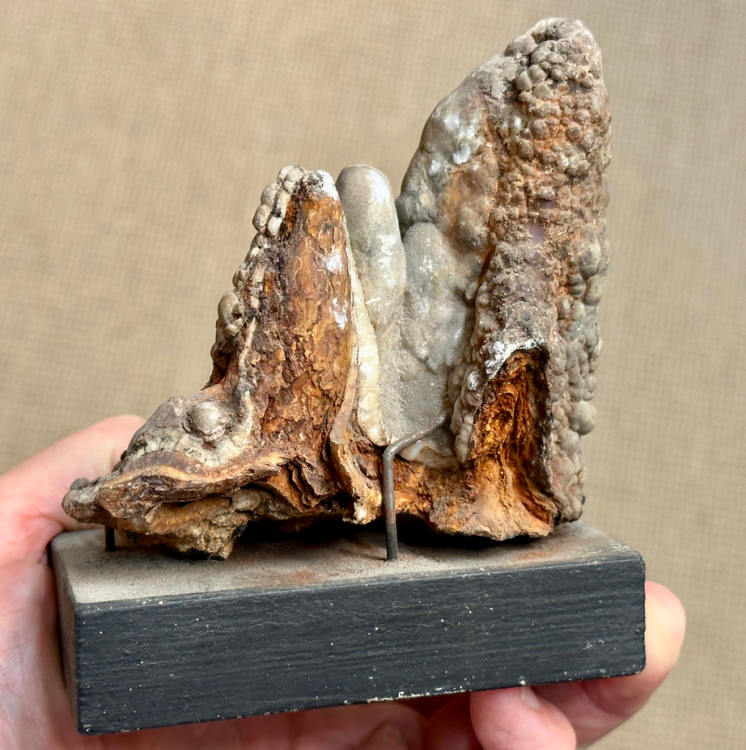 Capture d’écran 2023-07-28 à 22.00.04.png