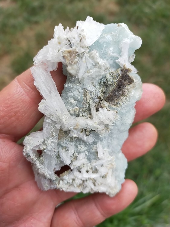 IMG20230724172236 (1).jpg