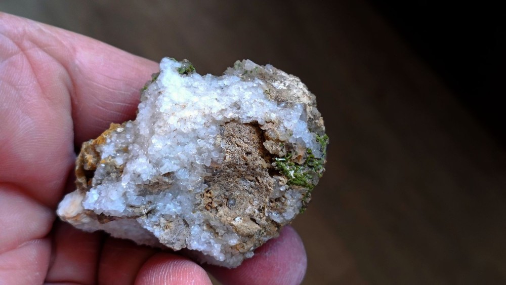 bourse 2023 Trébas 3++.jpg