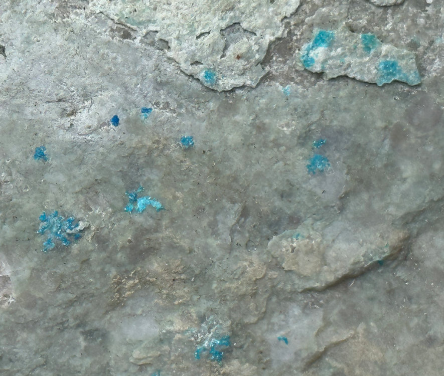 Capture d’écran 2023-07-31 à 20.08.24.png