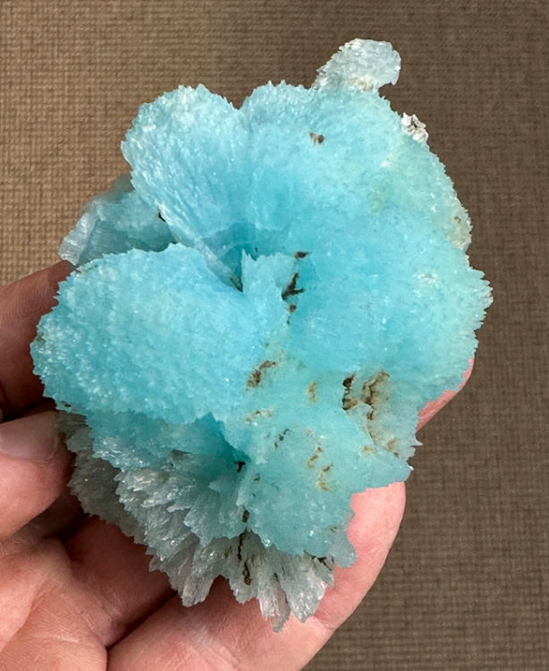 Capture d’écran 2023-08-03 à 00.16.54.png