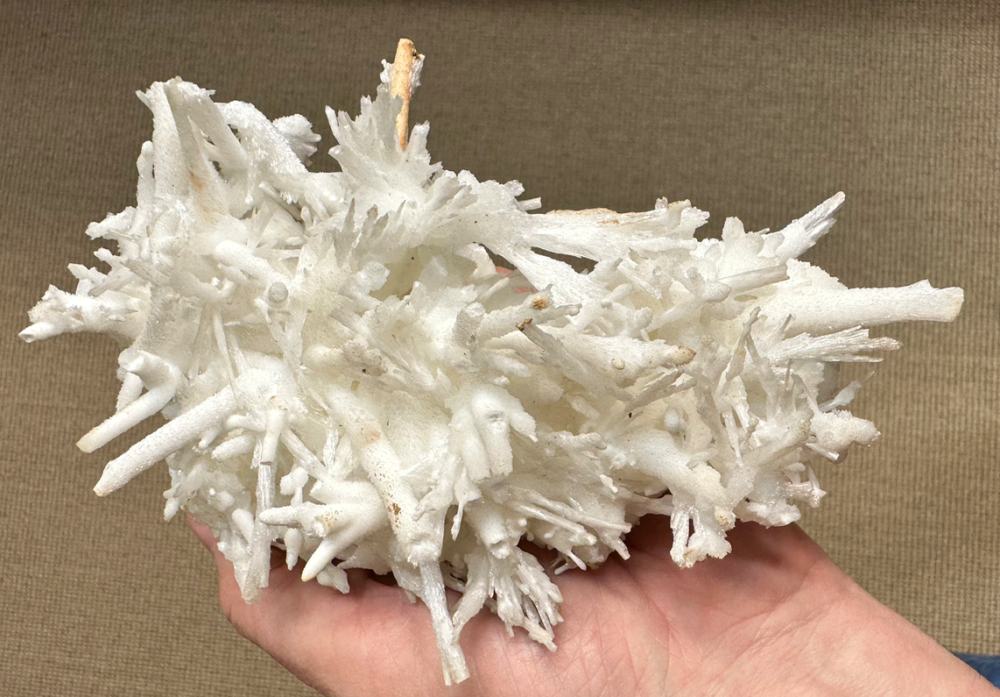 Capture d’écran 2023-08-03 à 18.14.49.png