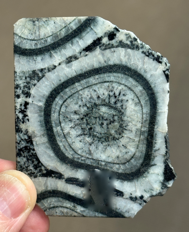 Capture d’écran 2023-08-08 à 17.18.03.png