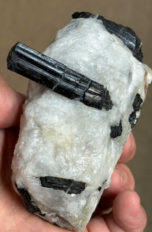 Capture d’écran 2023-08-11 à 19.09.33.png