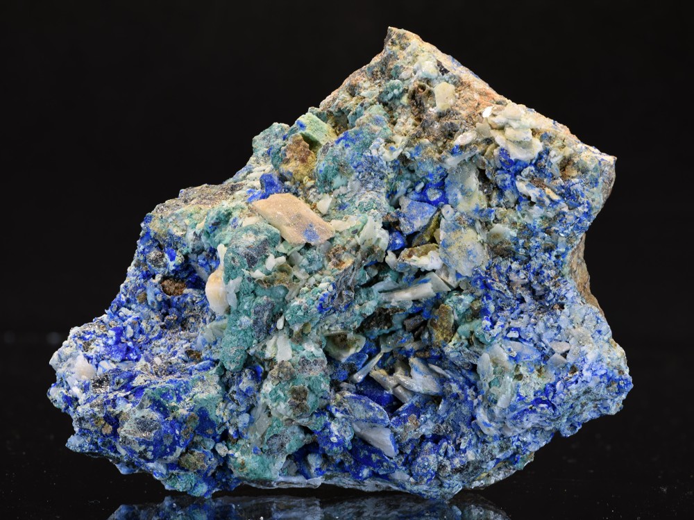 Les Cedres 2023 KCM2 S4.jpg