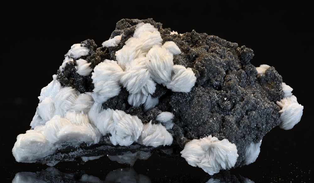 Les Cedres 2023 KCM3 S4.jpg