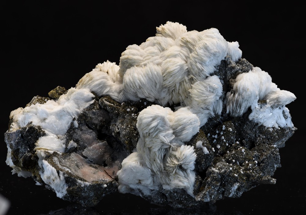 Les Cedres 2023 KCM S4.jpg