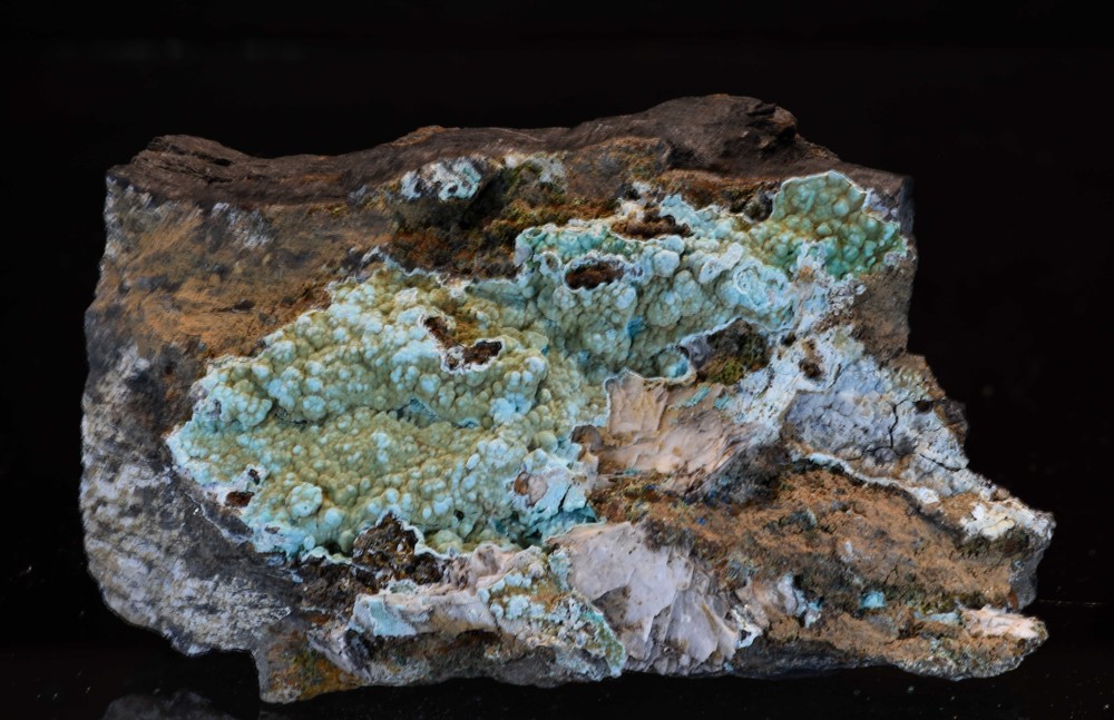 Les Cedres 2023 MCO s4.jpg