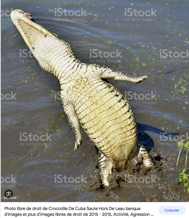 Capture d’écran 2023-09-09 à 09.10.28.png