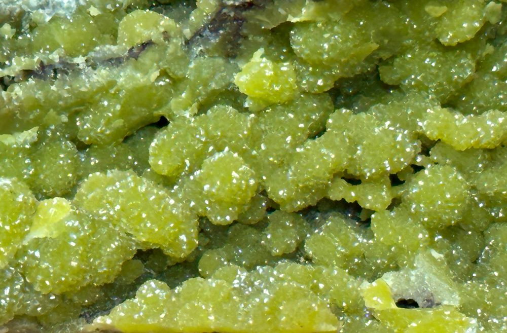 Capture d’écran 2023-09-08 à 13.52.24.png