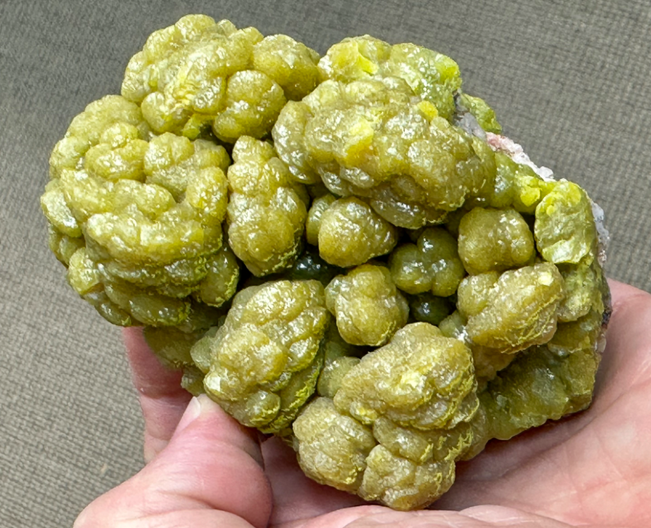 Capture d’écran 2023-09-08 à 13.53.15.png