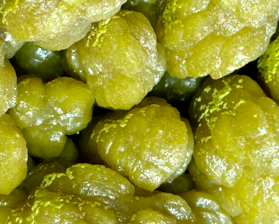 Capture d’écran 2023-09-08 à 13.53.27.png