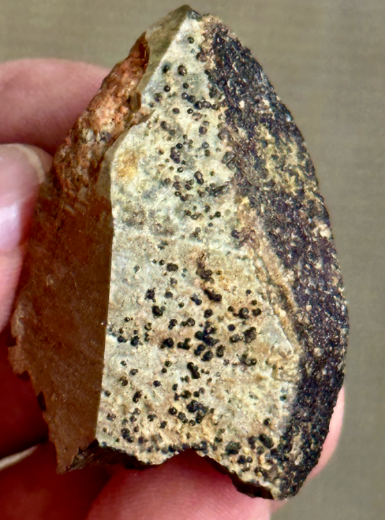 Capture d’écran 2023-09-24 à 00.50.46.png