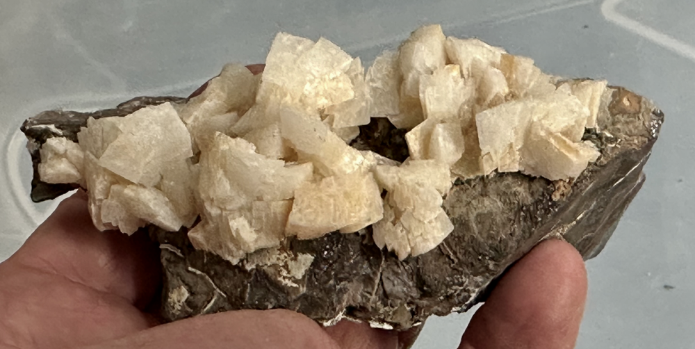 Capture d’écran 2023-09-27 à 22.48.46.png