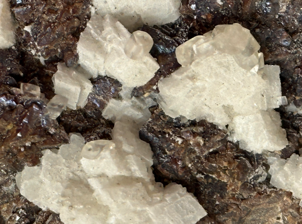 Capture d’écran 2023-09-29 à 00.39.05.png