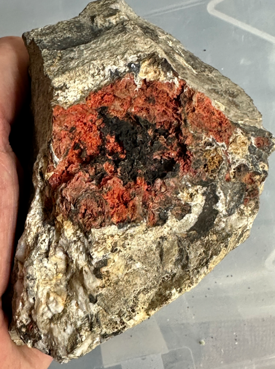 Capture d’écran 2023-09-30 à 10.49.08.png