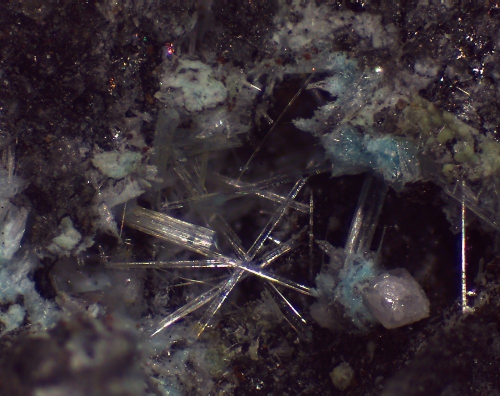 Poullaouen Lanarkite 30x24 s15.jpg