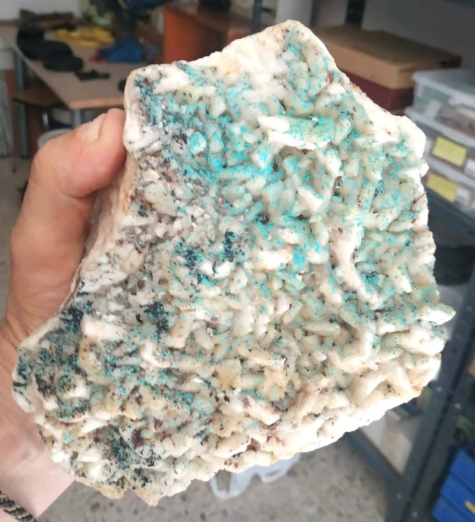 mc guinnessite Toñi 1.jpg