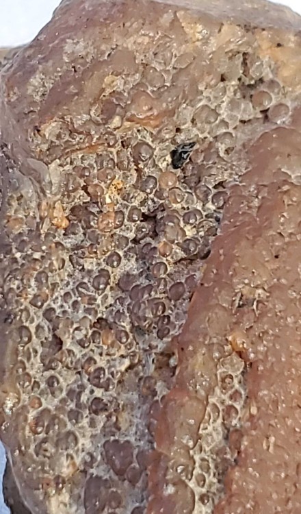 2023-7-14 19-38-15.jpg