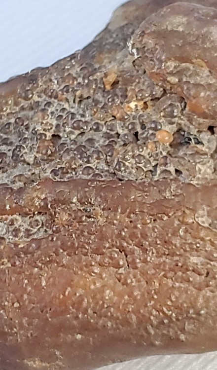 2023-7-14 19-40-43.jpg