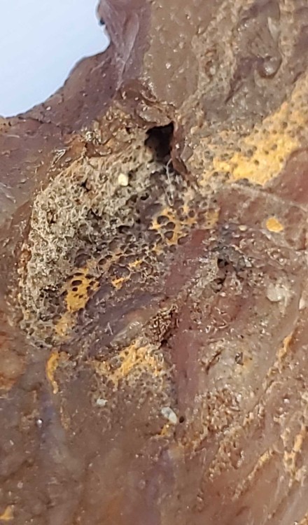 2023-7-14 19-41-46.jpg