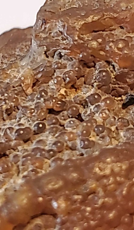 2023-7-15 14-28-48.jpg