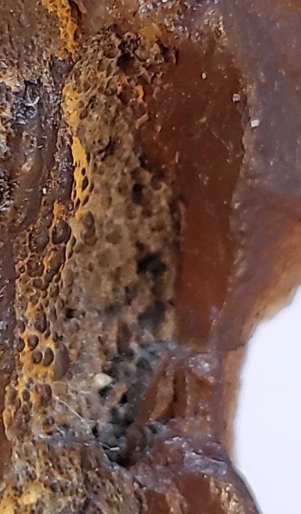 2023-7-15 14-30-41.jpg