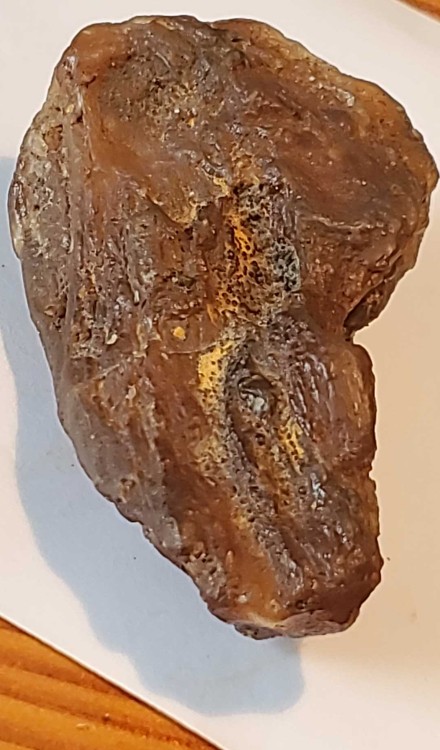 2023-7-15 14-32-19.jpg