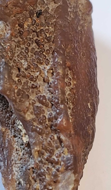 2023-7-15 14-33-42.jpg