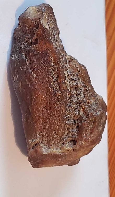 2023-7-15 14-35-42.jpg