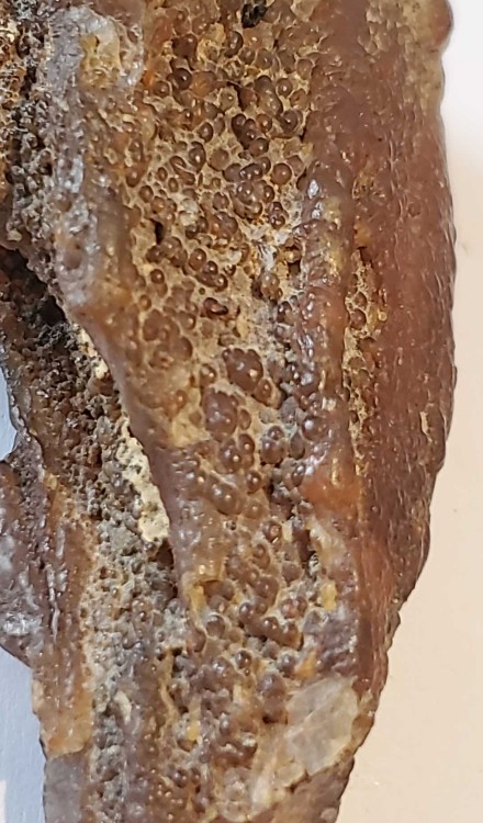 2023-7-15 14-43-33.jpg