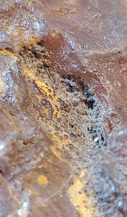 2023-7-15 14-44-41.jpg