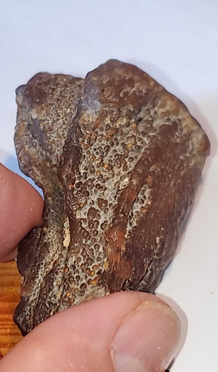 2023-7-15 14-51-22.jpg