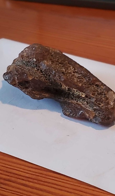 2023-7-15 14-54-42.jpg