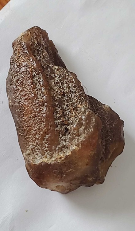 2023-7-15 14-55-38.jpg