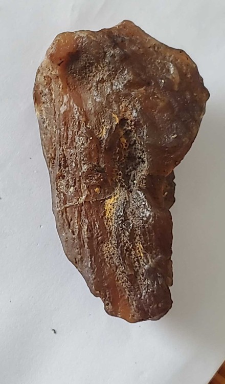 2023-7-15 14-55-50.jpg