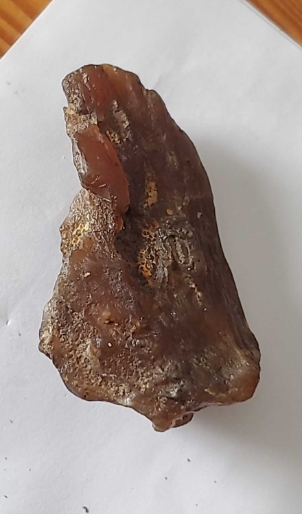 2023-7-15 14-56-35.jpg