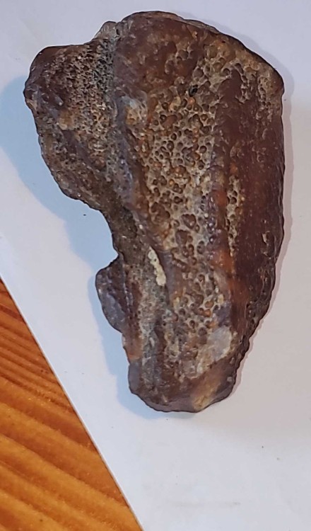 C 2023-7-15 14-52-22.jpg