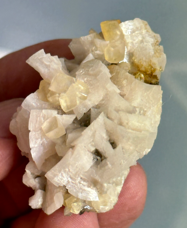 Capture d’écran 2023-09-30 à 10.56.15.png