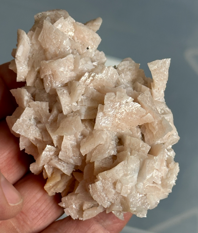 Capture d’écran 2023-09-30 à 10.57.26.png