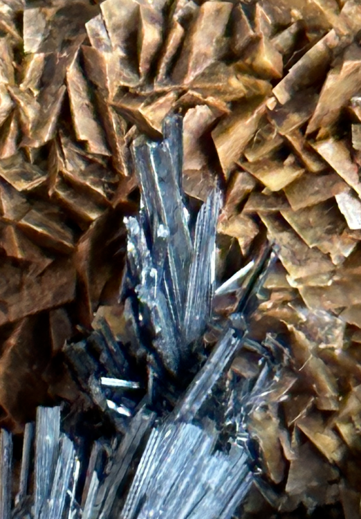 Capture d’écran 2023-09-30 à 10.59.35.png